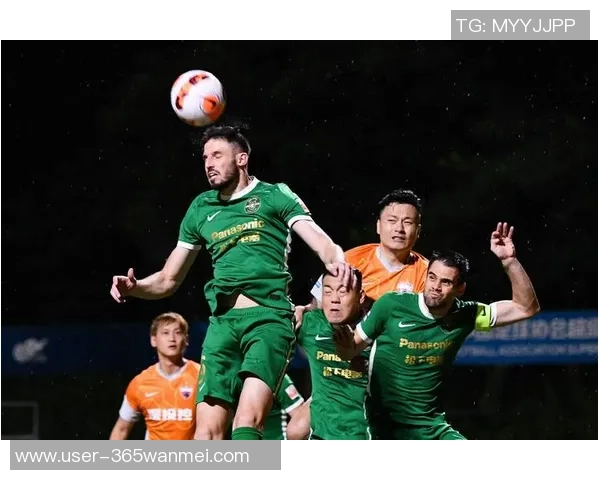 浙江足球队最新阵容分析及球员表现评估